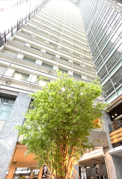 ビジョンセンター東京日本橋 外観